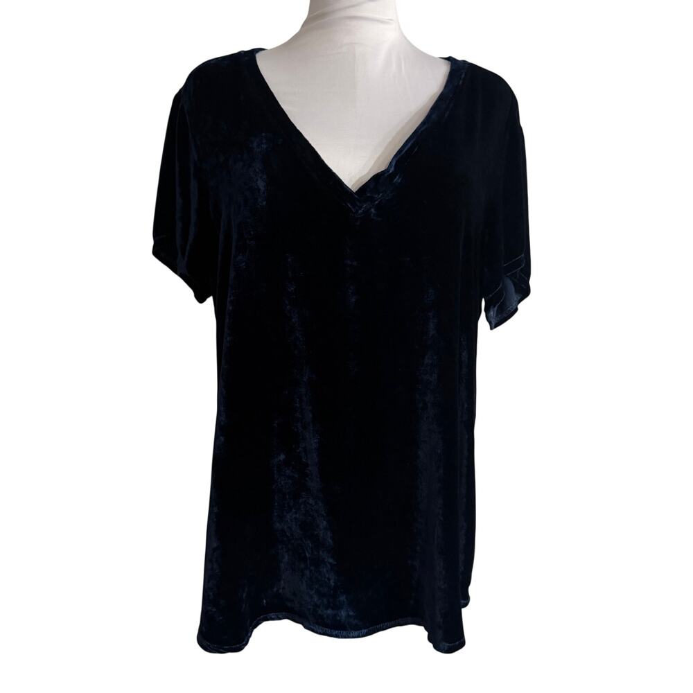 Bella Dahl Blue Silk Velvet V Neck Short Sleeve Tunic Top Large Quiet Luxury